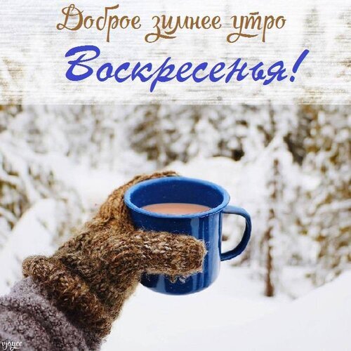 Уютная открытка «Доброе зимнее утро воскресенья!»: рука в варежке с кружкой горячего напитка на фоне заснеженного леса. Тепло и зимнее настроение. Открытка Доброе зимнее утро воскресенья! Уютная зимняя открытка с надписью «Доброе зимнее утро Воскресенья!». На изображении рука в теплой вязаной варежке держит синюю кружку с горячим напитком на фоне заснеженного зимнего леса Уютная открытка «Доброе зимнее утро воскресенья!»: рука в варежке с кружкой горячего напитка на фоне заснеженного леса. Тепло и зимнее настроение. Открытка Доброе зимнее утро воскресенья! Уютная зимняя открытка с надписью «Доброе зимнее утро Воскресенья!». На изображении рука в теплой вязаной варежке держит синюю кружку с горячим напитком на фоне заснеженного зимнего леса