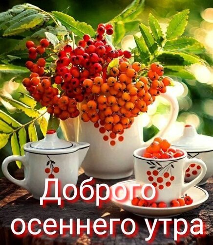Уютная осенняя открытка с ветками рябины и чашкой чая. Надпись: «Доброго осеннего утра». Яркое и теплое поздравление для соцсетей и мессенджеров. Открытка Доброго осеннего утра! Красивая осенняя открытка с ветками рябины в белой вазе. На переднем плане уютная чашка чая с ягодами и чайник в деревенском стиле. Текст на русском языке: «Доброго осеннего утра». Теплая, солнечная атмосфера осени, яркие оранжево-красные ягоды и зелень листвы на размытом фоне