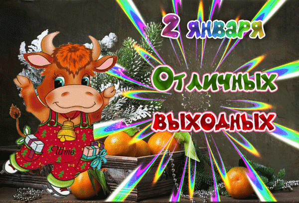 Праздничная открытка «2 января — отличных выходных!» с милым бычком, мандаринами и новогодним декором. Поздравление для зимних каникул. Анимированная открытка 2 января Отличных выходных! Забавная праздничная открытка с мультяшным изображением рыжего бычка, поздравляющего с 2 января. На картинке изображен симпатичный персонаж в красном комбинезоне с колокольчиком, окруженный сосновыми ветками и спелыми мандаринами. Яркий текст на русском языке гласит: 