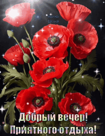 Открытка с красными маками и пожеланием «Добрый вечер! Приятного отдыха!». Красивое изображение с мерцающими искрами для приятного вечера. Анимированная открытка Добрый вечер! Красивая поздравительная открытка с изображением ярких красных маков на темном фоне. На картинке крупным шрифтом написан текст на русском языке: Добрый вечер! Приятного отдыха!. Цветы выглядят сочно и объемно, украшены мерцающими искрами и бликами света, создающими атмосферу уюта и волшебства Открытка с красными маками и пожеланием «Добрый вечер! Приятного отдыха!». Красивое изображение с мерцающими искрами для приятного вечера. Анимированная открытка Добрый вечер! Красивая поздравительная открытка с изображением ярких красных маков на темном фоне. На картинке крупным шрифтом написан текст на русском языке: Добрый вечер! Приятного отдыха!. Цветы выглядят сочно и объемно, украшены мерцающими искрами и бликами света, создающими атмосферу уюта и волшебства