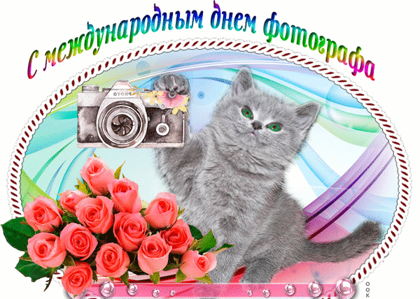 Поздравительная открытка к Международному дню фотографа с милым котенком, фотоаппаратом и розовыми розами. Красивое праздничное поздравление для коллег и друзей. Анимированная открытка С международным днем фотографа Праздничная поздравительная открытка к Международному дню фотографа. На изображении представлен милый серый котенок, классический пленочный фотоаппарат и пышный букет нежно-розовых роз на светлом абстрактном фоне. Яркое поздравление на русском языке «С международным днем фотографа» выполнено в градиентном стиле