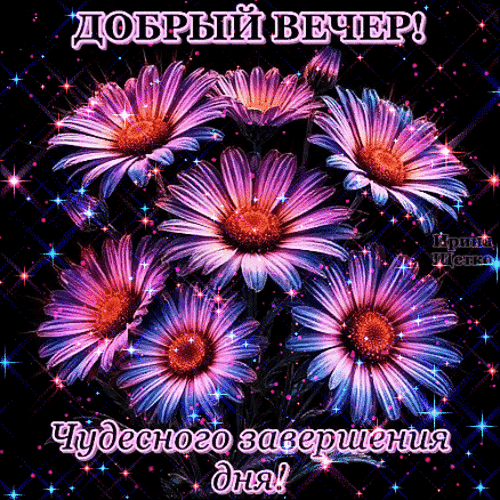Красивая открытка «Добрый вечер! Чудесного завершения дня!» с пышным букетом фиолетовых цветов и мерцающими звездами на темном фоне. Анимированная открытка Добрый Вечер! Красивая праздничная открытка с изображением пышного букета фиолетовых астр или хризантем на темном сверкающем фоне. Картинка украшена эффектом блесток и мерцающих звезд. На изображении расположены поздравительные надписи на русском языке: «ДОБРЫЙ ВЕЧЕР!» в верхней части и «Чудесного завершения дня!» в нижней части Красивая открытка «Добрый вечер! Чудесного завершения дня!» с пышным букетом фиолетовых цветов и мерцающими звездами на темном фоне. Анимированная открытка Добрый Вечер! Красивая праздничная открытка с изображением пышного букета фиолетовых астр или хризантем на темном сверкающем фоне. Картинка украшена эффектом блесток и мерцающих звезд. На изображении расположены поздравительные надписи на русском языке: «ДОБРЫЙ ВЕЧЕР!» в верхней части и «Чудесного завершения дня!» в нижней части
