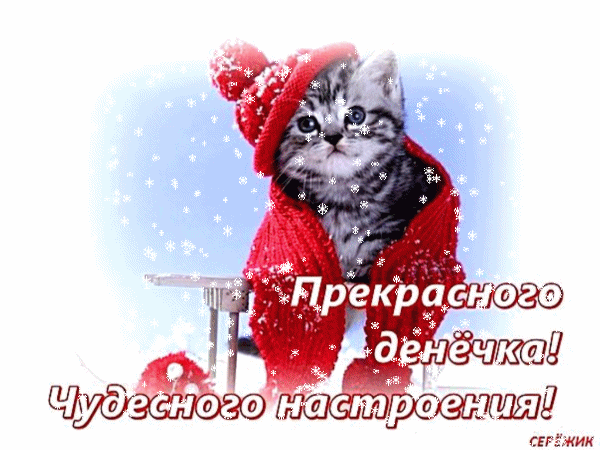 Милая открытка с котенком в красном свитере и шапке. Надпись: «Прекрасного денечка! Чудесного настроения!» Зимнее пожелание хорошего дня для близких. Анимированная открытка Прекрасного денечка! Чудесного настроения! Милая и уютная поздравительная открытка с изображением маленького серого котенка, одетого в теплый красный вязаный свитер и шапку с помпоном. Котенок находится в зимнем антураже, окруженный падающими снежинками. На картинке присутствует надпись на русском языке: 