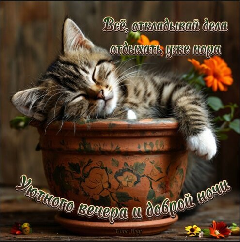 Милая картинка с спящим котенком: «Все, откладывай дела, отдыхать уже пора. Уютного вечера и доброй ночи!». Идеальное пожелание на вечер и спокойной ночи. Открытка Все, откладывай дела, отдыхать уже пора Милая картинка с спящим котенком в цветочном горшке, создающая атмосферу уюта и спокойствия. На изображении нанесен текст на русском языке: «Все, откладывай дела, отдыхать уже пора» и «Уютного вечера и доброй ночи». Идеально подходит для отправки друзьям и близким в качестве доброго пожелания на вечер или перед сном в мессенджерах и социальных сетях Милая картинка с спящим котенком: «Все, откладывай дела, отдыхать уже пора. Уютного вечера и доброй ночи!». Идеальное пожелание на вечер и спокойной ночи. Открытка Все, откладывай дела, отдыхать уже пора Милая картинка с спящим котенком в цветочном горшке, создающая атмосферу уюта и спокойствия. На изображении нанесен текст на русском языке: «Все, откладывай дела, отдыхать уже пора» и «Уютного вечера и доброй ночи». Идеально подходит для отправки друзьям и близким в качестве доброго пожелания на вечер или перед сном в мессенджерах и социальных сетях
