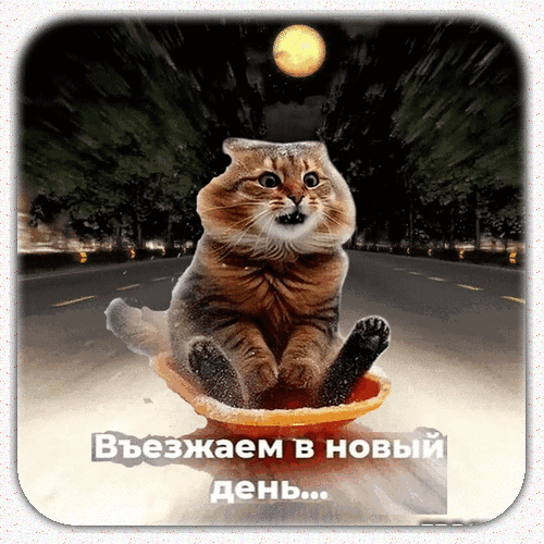 Смешной мем: рыжий кот едет на тарелке по дороге с надписью Въезжаем в новый день.... Идеально для позитивного настроения и соцсетей! Анимированная открытка Доброе утро Смешной мем с рыжим котом, который едет на маленькой тарелке по дороге ночью. На картинке изображен удивленный кот с широко открытыми глазами, создающий комичный эффект. Внизу расположена надпись на русском языке: 