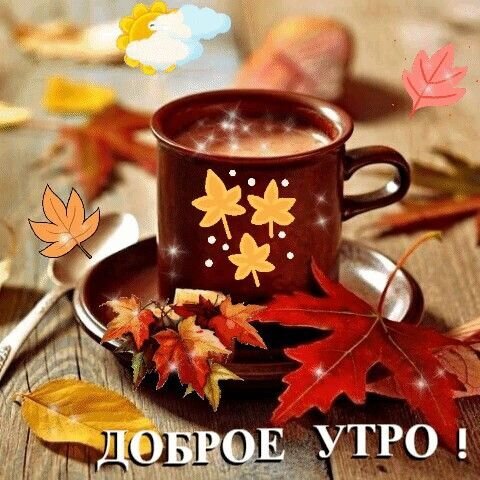 Уютная осенняя открытка с чашкой горячего кофе, яркими кленовыми листьями и надписью «ДОБРОЕ УТРО!». Идеально для осеннего настроения и поздравлений. Открытка Доброе утро! Уютная осенняя открытка с чашкой горячего кофе или какао на деревянном столе. Композиция украшена яркими кленовыми листьями красного, оранжевого и желтого цветов, создавая атмосферу тепла и спокойствия. На чашке виден стильный узор из листьев