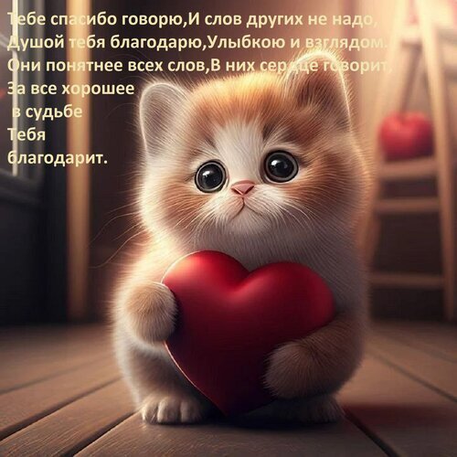 Милая открытка с котенком и сердцем. Трогательные слова благодарности на фоне нежного пушистого котика. Идеально для выражения любви и признательности. Открытка Тебе спасибо говорю, И слов других не надо, Душой тебя благодарю, Улыбкою и взглядом. Они понятнее в Милая и трогательная открытка с изображением пушистого котенка, который держит в лапках большое красное сердце. На фоне наложен душевный текст на русском языке о благодарности, любви и признательности. Изображение выполнено в мягких, теплых тонах, создавая атмосферу нежности, тепла и искренних чувств