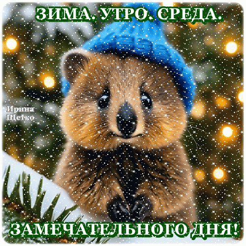 Милая зимняя открытка: пушистый зверек в шапке на фоне снега. Надпись: «Зима. Утро. Среда. Замечательного дня!». Идеально для пожелания доброго утра. Анимированная открытка ЗИМА. УТРО. Среда. Милая открытка с изображением пушистого зверька (хомяка или суслика) в синей вязаной шапочке на фоне зимнего пейзажа с падающим снегом и огнями боке. На картинке расположен поздравительный текст на русском языке: «ЗИМА. УТРО. СРЕДА. ЗАМЕЧАТЕЛЬНОГО ДНЯ!»