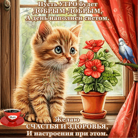 Милая открытка с рыжим котенком, цветами и пожеланиями доброго утра, счастья и здоровья. Теплое и уютное изображение для хорошего настроения! Анимированная открытка Доброе утро! Милая открытка с рыжим котенком на подоконнике, создающая уютную и теплую атмосферу. На изображении представлены яркие красные цветы в горшке, синяя птичка и чашка кофе. Текст на русском языке содержит добрые пожелания доброго утра, света, счастья, здоровья и отличного настроения Милая открытка с рыжим котенком, цветами и пожеланиями доброго утра, счастья и здоровья. Теплое и уютное изображение для хорошего настроения! Анимированная открытка Доброе утро! Милая открытка с рыжим котенком на подоконнике, создающая уютную и теплую атмосферу. На изображении представлены яркие красные цветы в горшке, синяя птичка и чашка кофе. Текст на русском языке содержит добрые пожелания доброго утра, света, счастья, здоровья и отличного настроения