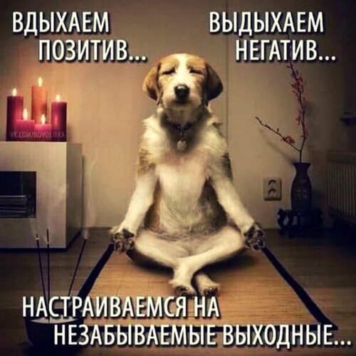 Смешной мем с собакой-медитатором: «Вдыхаем позитив, выдыхаем негатив... настраиваемся на выходные». Картинка для позитивного настроения и отдыха. Открытка Вдыхаем позитив... Выдыхаем негатив... Настраиваемся на незабываемые выходные! Забавный мем с изображением собаки, сидящей в позе лотоса на коврике для медитации. Рядом стоят ароматические палочки и зажженные свечи, создающие атмосферу релаксации и спокойствия. На картинке наложен текст на русском языке: «Вдыхаем позитив... выдыхаем негатив... настраиваемся на незабываемые выходные...». Изображение передает юмористическое настроение ожидания отдыха, спокойствия и позитивного настроя на грядущие выходные