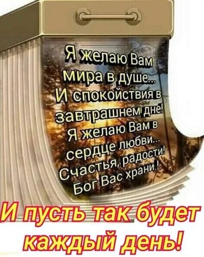 Душевная открытка с пожеланиями мира, любви, счастья и спокойствия. Красивый календарь с текстом «И пусть так будет каждый день!» для добрых пожеланий. Открытка Мира в душе и спокойствия в завтрашнем дне! Пусть Бог вас хранит! Изображение представляет собой поздравительную открытку в виде перекидного календаря с красивым природным фоном (закат в лесу). На картинке размещен текст на русском языке с добрыми пожеланиями: мира в душе, спокойствия в завтрашнем дне, любви в сердце, счастья и радости. В нижней части картинки крупная надпись: «И пусть так будет каждый день!»