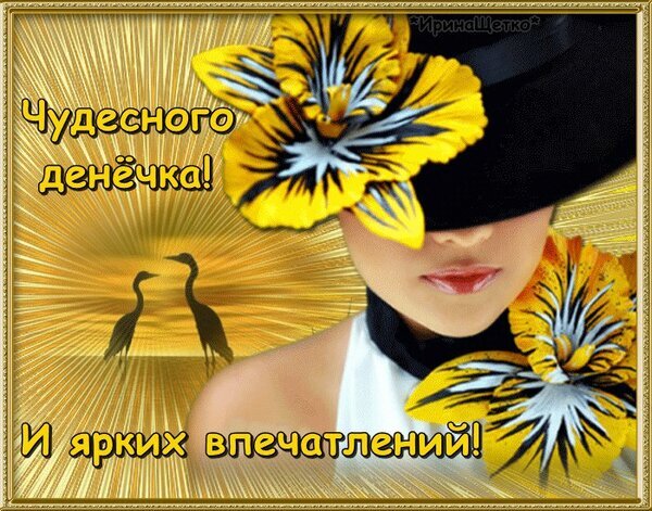 Пожелание чудесного дня и ярких впечатлений: красивая открытка с девушкой в шляпе, желтыми цветами и журавлями на закате. Позитивное доброе утро! Открытка Чудесного денечка! Красочное поздравительное изображение с надписью «Чудесного денечка! И ярких впечатлений!». Композиция включает элегантный женский силуэт в шляпе, украшенной крупными желтыми цветами с темными прожилками, и силуэты двух журавлей на фоне золотистого заката