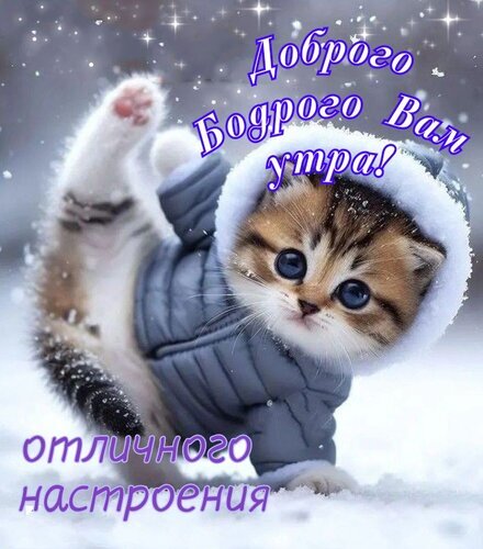 Милый котенок в зимней одежде с пожеланием доброго утра и отличного настроения. Красивая открытка для мессенджеров и соцсетей. Открытка Доброго Бодрого утра. Отличного настроения. Милое и очаровательное изображение котенка в теплой зимней одежде, созданное для пожелания доброго утра. Маленький пушистый котенок в серой куртке с капюшоном забавно позирует на фоне заснеженного пейзажа. На картинке нанесен текст на русском языке: «Доброго бодрого вам утра! отличного настроения»