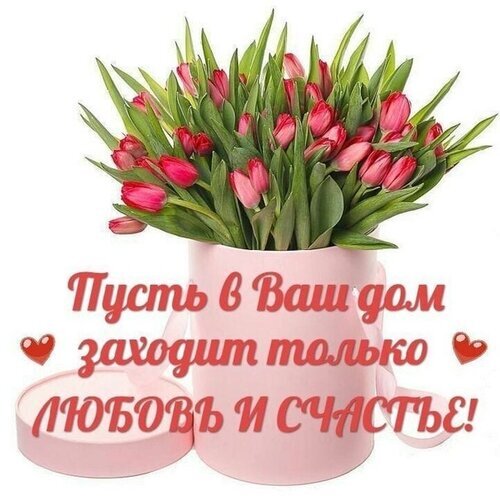 Поздравительная открытка с розовыми тюльпанами и надписью: «Пусть в Ваш дом заходит только ЛЮБОВЬ И СЧАСТЬЕ!». Идеально для пожеланий добра и любви. Открытка Любви и счастья Красивая открытка с букетом нежно-розовых тюльпанов в розовой вазе. На изображении нанесен поздравительный текст на русском языке: 