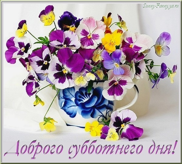 Красочная открытка с букетом фиалок в кружке и надписью «Доброго субботнего дня!». Яркое и нежное поздравление для субботы. Открытка Доброго субботнего дня! Красивая поздравительная открытка с ярким букетом фиалок (анютиных глазок) в белой керамической кружке с синим цветочным узором. Цветы разных оттенков: фиолетовый, желтый, белый и розовый. На переднем плане лежит надпись на русском языке «Доброго субботнего дня!», написанная изящным фиолетовым шрифтом