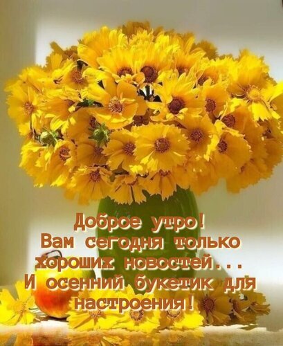 Яркий осенний букет желтых цветов с надписью Доброе утро! Вам только хороших новостей.... Теплая открытка для поднятия настроения в осенний день. Открытка Вам сегодня только хороших новостей... И осенний букетик для настроения! Красивый осенний букет ярких желтых цветов (хризантем или гербер) в зеленой вазе на светлом фоне. На изображении наложена поздравительная надпись на русском языке: Доброе утро! Вам сегодня только хороших новостей... И осенний букетик для настроения!