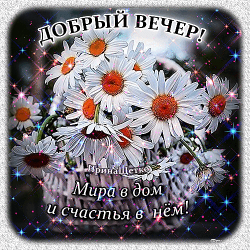 Открытка «Добрый вечер!» с букетом белых ромашек и пожеланием мира и счастья в дом. Красивое изображение с искрами для поздравлений в мессенджерах. Анимированная открытка Добрый вечер! Мира в дом и счастья в нем! Красивая поздравительная открытка с изображением букета белых ромашек в корзинке. На картинке наложен текст на русском языке: «ДОБРЫЙ ВЕЧЕР! Мира в дом и счастья в нем!». Изображение украшено сияющими искрами и звездным блеском, создающими праздничную и уютную атмосферу Открытка «Добрый вечер!» с букетом белых ромашек и пожеланием мира и счастья в дом. Красивое изображение с искрами для поздравлений в мессенджерах. Анимированная открытка Добрый вечер! Мира в дом и счастья в нем! Красивая поздравительная открытка с изображением букета белых ромашек в корзинке. На картинке наложен текст на русском языке: «ДОБРЫЙ ВЕЧЕР! Мира в дом и счастья в нем!». Изображение украшено сияющими искрами и звездным блеском, создающими праздничную и уютную атмосферу