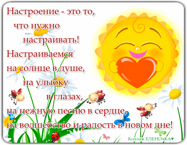 Позитивная открытка с цитатой о настроении: улыбающееся солнце, сердце, ромашки и божьи коровки. Мотивация на радость и волшебство в новом дне! Анимированная открытка Настроение - это то, что нужно настраивать! Красочная позитивная открытка с вдохновляющей цитатой на русском языке. На изображении изображено улыбающееся солнце, обнимающее красное сердце, среди цветущих белых ромашек и маленьких божьих коровок. Текст гласит: «Настроение - это то, что нужно настраивать! Настраиваемся на солнце в душе, на улыбку в глазах, на нежную песню в сердце, на волшебство и радость в новом дне!»