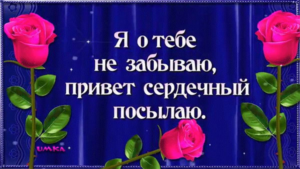 Романтическая открытка с розовыми розами и текстом Я о тебе не забываю, привет сердечный посылаю. Красивое приветствие для близких людей. Анимированная открытка Я о тебе не забываю, привет сердечный посылаю. Красивая праздничная открытка с розовыми розами на темно-синем фоне. На изображении расположены три пышных ярко-розовых цветка с зелеными листьями. В центре размещен текст на русском языке белым шрифтом с контуром: 