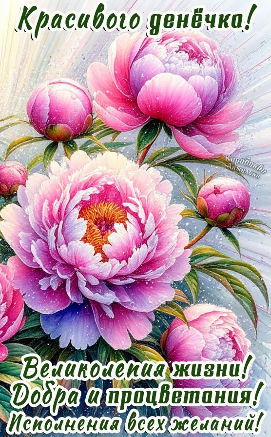 Поздравительная открытка с розовыми пионами. Пожелания красивого дня, добра, процветания и исполнения всех желаний. Идеально для отправки друзьям! Открытка Добрый день! Красивая поздравительная открытка с изображением нежных розовых пионов. На картинке представлены пышные распустившиеся цветы и аккуратные бутоны в светлых тонах. Текст на русском языке гласит: 