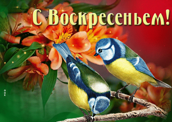 Праздничная открытка «С Воскресеньем!» с яркими синичками и оранжевыми лилиями. Красивое поздравление с добрым воскресным днем для близких и друзей. Анимированная открытка С воскресеньем Красивая праздничная открытка с пожеланием «С Воскресеньем!». На изображении представлены два ярких синички, сидящих на ветке на фоне пышных оранжевых лилий. Композиция дополнена теплыми цветами, мягким светом и волшебными искрами, создающими уютную и радостную атмосферу Праздничная открытка «С Воскресеньем!» с яркими синичками и оранжевыми лилиями. Красивое поздравление с добрым воскресным днем для близких и друзей. Анимированная открытка С воскресеньем Красивая праздничная открытка с пожеланием «С Воскресеньем!». На изображении представлены два ярких синички, сидящих на ветке на фоне пышных оранжевых лилий. Композиция дополнена теплыми цветами, мягким светом и волшебными искрами, создающими уютную и радостную атмосферу