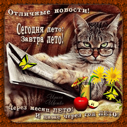 Позитивная открытка с котом в очках и текстом про вечное лето. Забавное изображение для поднятия настроения и летнего приветствия. Анимированная открытка Отличные новости! Забавная поздравительная открытка с рыжим полосатым котом в очках, который читает газету. На картинке расположен оптимистичный текст на русском языке: Отличные новости! Сегодня лето! Завтра лето! Через месяц лето! И даже через год лето!. Декор дополнен яркими летними элементами: желтыми цветами, бабочкой и спелым красным яблоком Позитивная открытка с котом в очках и текстом про вечное лето. Забавное изображение для поднятия настроения и летнего приветствия. Анимированная открытка Отличные новости! Забавная поздравительная открытка с рыжим полосатым котом в очках, который читает газету. На картинке расположен оптимистичный текст на русском языке: Отличные новости! Сегодня лето! Завтра лето! Через месяц лето! И даже через год лето!. Декор дополнен яркими летними элементами: желтыми цветами, бабочкой и спелым красным яблоком