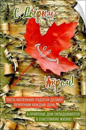 Осенняя открытка С добрым утром! с красным кленовым листом и улыбкой. Вдохновляющее пожелание счастья и маленьких радостей на каждый день. Открытка Доброе утро! Красивая осенняя открытка с изображением ярко-красного кленового листа на фоне текстурной березовой коры. На листе нарисована милая улыбка, создающая позитивное настроение. Текст на русском языке гласит: 