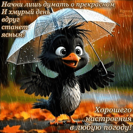 Милый птенец под зонтом в дождь. Мотивационная картинка с пожеланием хорошего настроения и позитивным текстом для соцсетей и открыток. Анимированная открытка Хорошего настроения! Милая 3D-иллюстрация с мультяшным черным птенцом, который радостно стоит под прозрачным зонтом во время дождя. Картинка наполнена позитивом и вдохновением. На изображении размещен мотивирующий текст на русском языке: «Начни лишь думать о прекрасном и хмурый день вдруг станет ясным! Хорошего дождливого настроения в любую погоду!» Милый птенец под зонтом в дождь. Мотивационная картинка с пожеланием хорошего настроения и позитивным текстом для соцсетей и открыток. Анимированная открытка Хорошего настроения! Милая 3D-иллюстрация с мультяшным черным птенцом, который радостно стоит под прозрачным зонтом во время дождя. Картинка наполнена позитивом и вдохновением. На изображении размещен мотивирующий текст на русском языке: «Начни лишь думать о прекрасном и хмурый день вдруг станет ясным! Хорошего дождливого настроения в любую погоду!»