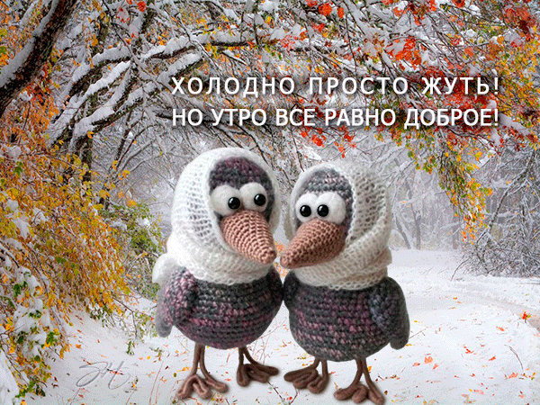 Две милые вязаные птички в шапочках на фоне заснеженного осеннего леса. Уютная открытка с надписью: «Холодно просто жуть! Но утро все равно доброе!» Анимированная открытка Холодно но утро все равно доброе Милая фотография двух вязаных игрушечных птичек в белых шапочках, стоящих на фоне заснеженного осеннего леса с золотистой листвой. На изображении наложен текст на русском языке: «ХОЛОДНО ПРОСТО ЖУТЬ! НО УТРО ВСЕ РАВНО ДОБРОЕ!». Картинка передает уютную, теплую атмосферу раннего зимнего утра, несмотря на холодный пейзаж Две милые вязаные птички в шапочках на фоне заснеженного осеннего леса. Уютная открытка с надписью: «Холодно просто жуть! Но утро все равно доброе!» Анимированная открытка Холодно но утро все равно доброе Милая фотография двух вязаных игрушечных птичек в белых шапочках, стоящих на фоне заснеженного осеннего леса с золотистой листвой. На изображении наложен текст на русском языке: «ХОЛОДНО ПРОСТО ЖУТЬ! НО УТРО ВСЕ РАВНО ДОБРОЕ!». Картинка передает уютную, теплую атмосферу раннего зимнего утра, несмотря на холодный пейзаж