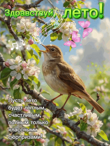 Красивая открытка Здравствуй, лето! с птичкой, цветами и бабочками. Пожелание теплого и счастливого лета для поздравления близких в соцсетях. Анимированная открытка Здравствуй, лето! Яркая и позитивная открытка к началу лета с изображением маленькой певчей птички на цветущей яблоне. На картинке присутствуют декоративные элементы: розовые бабочки, музыкальные ноты и нежные весенне-летние цветы. Крупный зеленый текст гласит: 