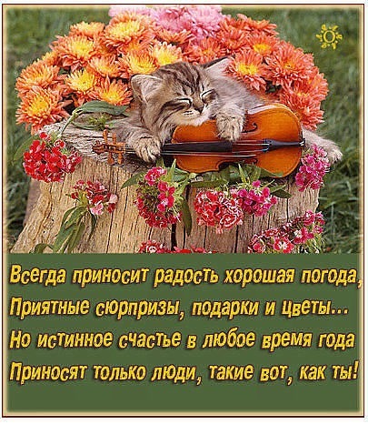 Милый котенок со скрипкой среди осенних цветов и трогательная цитата о счастье. Душевная открытка для поздравлений и пожеланий тепла близким людям. Открытка Всегда приносит радость хорошая погода, Приятные сюрпризы Уютная и теплая открытка с милым котенком, который отдыхает на деревянном пне в окружении ярких осенних цветов и хризантем. Котенок приобнимает маленькую скрипку, создавая атмосферу гармонии, музыки и уюта. На изображении размещена трогательная цитата о том, что истинное счастье приносят люди Милый котенок со скрипкой среди осенних цветов и трогательная цитата о счастье. Душевная открытка для поздравлений и пожеланий тепла близким людям. Открытка Всегда приносит радость хорошая погода, Приятные сюрпризы Уютная и теплая открытка с милым котенком, который отдыхает на деревянном пне в окружении ярких осенних цветов и хризантем. Котенок приобнимает маленькую скрипку, создавая атмосферу гармонии, музыки и уюта. На изображении размещена трогательная цитата о том, что истинное счастье приносят люди