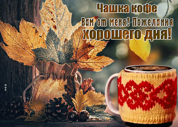 Уютная осенняя открытка: чашка кофе и букет из кленовых листьев с пожеланием хорошего дня. Теплая атмосфера осени для ваших поздравлений и соцсетей. Анимированная открытка Хорошего дня Уютная осенняя композиция с чашкой горячего кофе и букетом из золотых кленовых листьев. На изображении присутствует поздравительная надпись на русском языке: Чашка кофе Вам от меня! Пожелания хорошего дня!. Атмосферное фото в теплых тонах, передающее настроение осени, тепла и дружеского приветствия Уютная осенняя открытка: чашка кофе и букет из кленовых листьев с пожеланием хорошего дня. Теплая атмосфера осени для ваших поздравлений и соцсетей. Анимированная открытка Хорошего дня Уютная осенняя композиция с чашкой горячего кофе и букетом из золотых кленовых листьев. На изображении присутствует поздравительная надпись на русском языке: Чашка кофе Вам от меня! Пожелания хорошего дня!. Атмосферное фото в теплых тонах, передающее настроение осени, тепла и дружеского приветствия