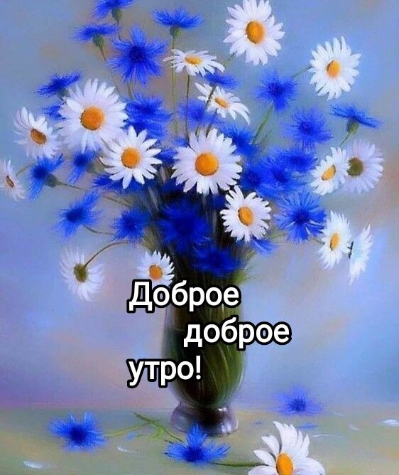 Поздравительная открытка Доброе доброе утро! с букетом из белых ромашек и синих цветов в вазе. Яркое и светлое пожелание доброго утра для близких. Открытка Доброе доброе утро. Красивая поздравительная открытка с букетом ярких цветов. На изображении представлено гармоничное сочетание белоснежных ромашек с желтой сердцевиной и насыщенных синих цветов в вазе. Фон мягкий, пастельный, создающий спокойную и светлую атмосферу. В центре композиции расположена надпись на русском языке: Доброе доброе утро!, выполненная четким черным шрифтом с белой обводкой Поздравительная открытка Доброе доброе утро! с букетом из белых ромашек и синих цветов в вазе. Яркое и светлое пожелание доброго утра для близких. Открытка Доброе доброе утро. Красивая поздравительная открытка с букетом ярких цветов. На изображении представлено гармоничное сочетание белоснежных ромашек с желтой сердцевиной и насыщенных синих цветов в вазе. Фон мягкий, пастельный, создающий спокойную и светлую атмосферу. В центре композиции расположена надпись на русском языке: Доброе доброе утро!, выполненная четким черным шрифтом с белой обводкой