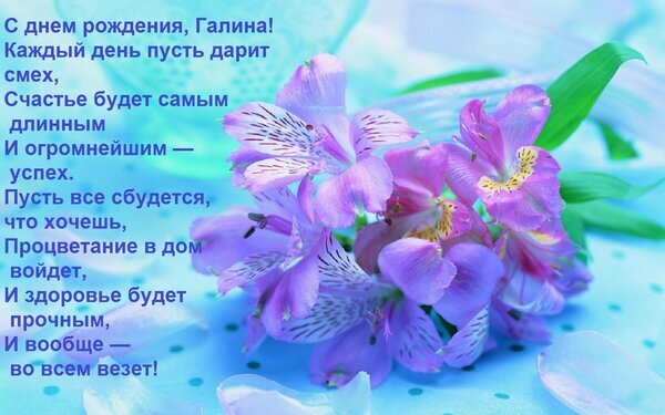 Именная открытка с днем рождения для Галины. Красивые фиолетовые цветы и трогательное стихотворение с пожеланиями счастья, успеха и здоровья. Открытка С днем рождения, Галина! Каждый день пусть дарит смех, Счастье будет самым длинным И огромнейшим — у Красивая поздравительная открытка с нежными фиолетовыми цветами (альстромерия) и душевным стихотворением. На картинке размещен текст поздравления с днем рождения для женщины по имени Галина. Пожелания включают радость, счастье, успех, исполнение желаний, процветание и крепкое здоровье