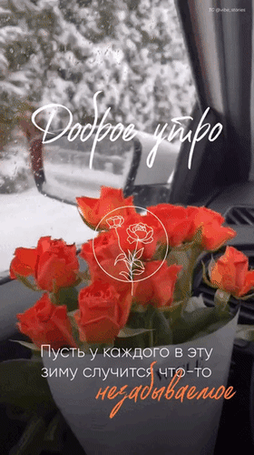 Доброе утро! Красивая открытка с красными розами и зимним пейзажем. Пожелание незабываемой зимы для настроения в WhatsApp и Telegram. Анимированная открытка Доброе утро! Пусть у каждого в эту зиму случится что-то незабываемое Красивая и уютная открытка с пожеланием доброго утра. На изображении представлен букет ярко-красных роз на фоне заснеженного зимнего пейзажа, вид через окно автомобиля. На картинке нанесен текст на русском языке: «Доброе утро» и вдохновляющая фраза «Пусть у каждого в эту зиму случится что-то незабываемое» Доброе утро! Красивая открытка с красными розами и зимним пейзажем. Пожелание незабываемой зимы для настроения в WhatsApp и Telegram. Анимированная открытка Доброе утро! Пусть у каждого в эту зиму случится что-то незабываемое Красивая и уютная открытка с пожеланием доброго утра. На изображении представлен букет ярко-красных роз на фоне заснеженного зимнего пейзажа, вид через окно автомобиля. На картинке нанесен текст на русском языке: «Доброе утро» и вдохновляющая фраза «Пусть у каждого в эту зиму случится что-то незабываемое»