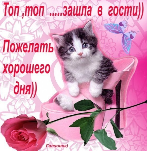 Милая открытка с котенком и надписью «Пожелать хорошего дня))». Красивое изображение с розой и бабочкой для добрых пожеланий в мессенджерах. Открытка Топ, топ... зашла в гости))) Пожелать хорошего дня)) Милая открытка с пушистым котенком в розовом туфле на каблуке, украшенная розой и бабочкой. На картинке надпись на русском языке: «Топ, топ... зашла в гости)) Пожелать хорошего дня))». Идеальное изображение для отправки друзьям и близким в мессенджерах (WhatsApp, Viber) или социальных сетях, чтобы пожелать доброго утра, отличного настроения и хорошего дня
