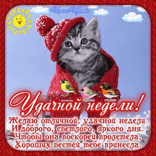 Милая открытка с котенком в красном шарфе и пожеланием удачной недели. Красочное изображение для добрых пожеланий в мессенджерах и соцсетях. Анимированная открытка Удачной недели! Милая поздравительная открытка с пушистым серым котенком в красной вязаной шапке и шарфе. На фоне голубого неба с облаками и солнцем изображены три маленькие разноцветные птички. На картинке крупный текст на русском языке: «Удачной недели! Желаю отличной, удачной недели и доброго, светлого, яркого дня. Чтобы она поскорей пролетела, хороших вестей тебе принесла»