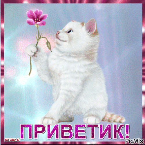 Милый белый котенок с розовым цветком и надписью «ПРИВЕТИК!». Нежная открытка для поднятия настроения, доброго утра и теплых пожеланий. Анимированная открытка Приветик! Милая и очаровательная картинка с белым пушистым котенком, который держит в лапке нежный розовый цветок. Изображение выполнено в нежных пастельных тонах с эффектом сияния и блесток, создавая сказочную и добрую атмосферу. В нижней части кадра расположена яркая надпись «ПРИВЕТИК!» крупным розовым шрифтом