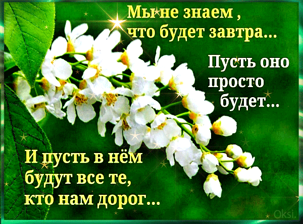 Душевная открытка с белыми цветами и философской цитатой о завтрашнем дне и дорогих людях. Красивое пожелание тепла и надежды для близких. Анимированная открытка Мы не знаем что будет Красивая поздравительная открытка с изображением нежных белых цветов на ярко-зеленом фоне. На картинке наложен философский текст на русском языке: 