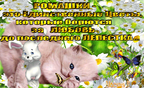 Романтичная открытка с котенком, зайчиком и ромашками. Вдохновляющая цитата о любви на фоне цветов и бабочек. Идеально для милых поздравлений. Анимированная открытка Ромашки-это единственные цветы, которые борются за любовь, до последнего лепестка... Милая и трогательная открытка с изображением пушистого котенка и белого зайчика на фоне цветущих ромашек. На картинке размещена вдохновляющая цитата о любви: «Ромашки — это единственные цветы, которые борются за любовь до последнего лепестка...». Изображение дополнено яркими бабочками, создающими атмосферу нежности, романтики и весеннего тепла