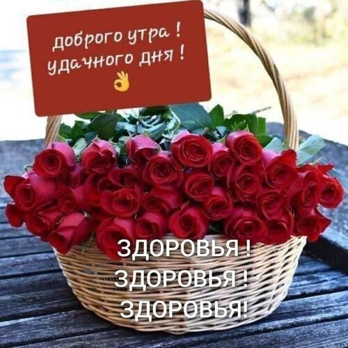 Красивая открытка с красными розами в корзине. Текст: «Доброго утра! Удачного дня! Здоровья!». Идеальное утреннее пожелание для WhatsApp и соцсетей. Открытка Доброго утра! удачного дня! Здоровья! Красивая открытка с пышным букетом ярко-красных роз в плетеной корзине. На изображении наложен текст на русском языке: «Доброго утра! Удачного дня!» и пожелание «Здоровья!» Красивая открытка с красными розами в корзине. Текст: «Доброго утра! Удачного дня! Здоровья!». Идеальное утреннее пожелание для WhatsApp и соцсетей. Открытка Доброго утра! удачного дня! Здоровья! Красивая открытка с пышным букетом ярко-красных роз в плетеной корзине. На изображении наложен текст на русском языке: «Доброго утра! Удачного дня!» и пожелание «Здоровья!»