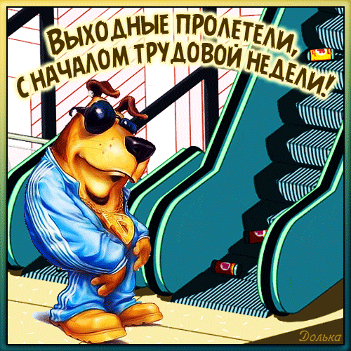 Смешная открытка с собакой в спортивном костюме: «Выходные пролетели, с началом трудовой недели!». Идеальное юмористическое поздравление с понедельником. Анимированная открытка С Началом Трудовой Недели! Забавная поздравительная открытка с антропоморфным псом в солнечных очках и голубом спортивном костюме. Персонаж стоит на фоне эскалатора в торговом центре или офисном здании. На изображении нанесена шутливая надпись на русском языке: 