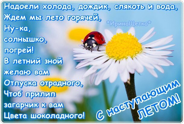 Летнее поздравление с божьей коровкой на цветке. Добрые пожелания жаркого лета, солнечного тепла и приятного отпуска для друзей и близких. Открытка Последний день весны Красочное поздравительное изображение с летним настроением. На переднем плане — крупный план белой маргаритки с ярко-желтой сердцевиной, на которой сидит маленькая красно-черная божья коровка. Фон мягкий, размытый, в голубых и желтых тонах. На картинке нанесен текст на русском языке: душевное стихотворение о ожидании жаркого лета, солнца и желании получить заветный шоколадный загар
