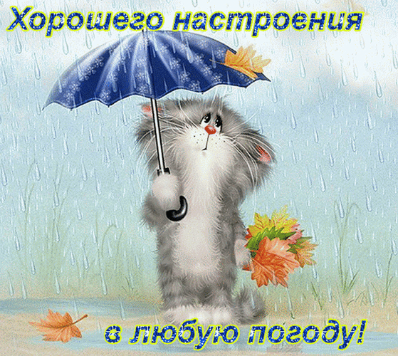 Милая открытка с котенком под зонтом и осенними листьями. Надпись: «Хорошего настроения в любую погоду!». Идеальное доброе пожелание на каждый день. Анимированная открытка Хорошего настроения в любую погоду! Милая поздравительная открытка с пушистым серым котенком, который стоит под синим зонтиком под проливным дождем. Котенок держит в лапках букет осенних листьев. На картинке надпись на русском языке: «Хорошего настроения в любую погоду!» Милая открытка с котенком под зонтом и осенними листьями. Надпись: «Хорошего настроения в любую погоду!». Идеальное доброе пожелание на каждый день. Анимированная открытка Хорошего настроения в любую погоду! Милая поздравительная открытка с пушистым серым котенком, который стоит под синим зонтиком под проливным дождем. Котенок держит в лапках букет осенних листьев. На картинке надпись на русском языке: «Хорошего настроения в любую погоду!»