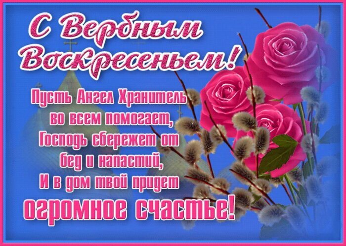 Красивая открытка с пожеланиями на Вербное воскресенье: розовые розы, ветки вербы и добрые слова о защите Ангела Хранителя и большом счастье. Открытка С Вербным Воскресеньем! Красивая поздравительная открытка к Вербному воскресенью. На изображении на ярко-розовом фоне с голубым градиентом расположены пышные розовые розы и пушистые веточки вербы. Текст на русском языке гласит: 