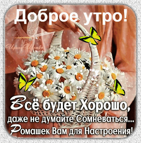 Открытка Доброе утро!: корзина белых ромашек и желтые бабочки. Пожелание Все будет хорошо для отличного настроения. Красивое пожелание на каждый день. Анимированная открытка Доброе утро! все будет Хорошо, даже не думайте Сомневаться… Красивая поздравительная открытка с пожеланием доброго утра. На изображении представлена корзина с пышным букетом белых ромашек, украшенная нежными желтыми бабочками. На фоне виден мягкий розовый силуэт. Текст на русском языке гласит: Доброе утро! Все будет хорошо, даже не думайте сомневаться... Ромашек Вам для Настроения! Открытка Доброе утро!: корзина белых ромашек и желтые бабочки. Пожелание Все будет хорошо для отличного настроения. Красивое пожелание на каждый день. Анимированная открытка Доброе утро! все будет Хорошо, даже не думайте Сомневаться… Красивая поздравительная открытка с пожеланием доброго утра. На изображении представлена корзина с пышным букетом белых ромашек, украшенная нежными желтыми бабочками. На фоне виден мягкий розовый силуэт. Текст на русском языке гласит: Доброе утро! Все будет хорошо, даже не думайте сомневаться... Ромашек Вам для Настроения!