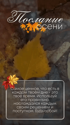 Мотивационная цитата «Послание осени» на фоне золотых листьев. Вдохновляющие слова о ценности времени и важности быть собой. Эстетичная осенняя картинка. Анимированная открытка Послание осени. Самое ценное, что у тебя есть в каждом твоем дне - это твое время. Эстетичное осеннее изображение с вдохновляющей цитатой на русском языке. На фоне размытого осеннего пейзажа с золотистыми листьями расположен текст: 