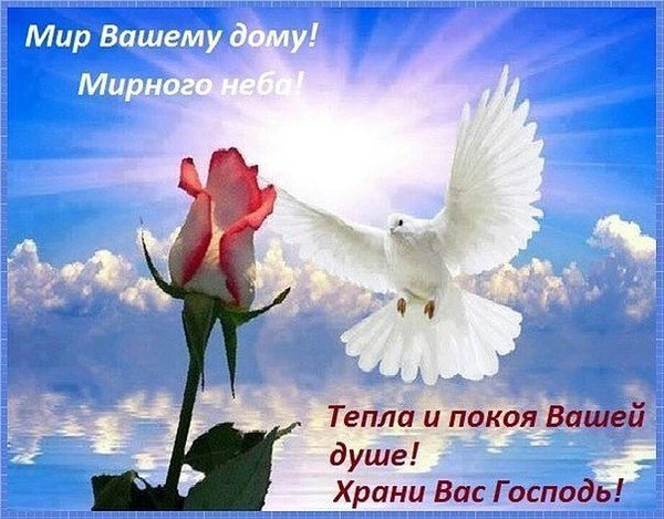 Открытка с белым голубем, розой и пожеланиями мира: «Мир Вашему дому! Мирного неба! Тепла и покоя Вашей душе! Храни Вас Господь!». Душевная картинка для близких. Открытка Мир твоему дому Красивая поздравительная открытка с изображением белого голубя — символа мира и чистоты, летящего на фоне голубого неба с мягкими облаками. На переднем плане — нежная роза красного цвета с капельками росы. Изображение дополнено теплыми пожеланиями на русском языке: «Мир Вашему дому! Мирного неба! Тепла и покоя Вашей душе! Храни Вас Господь!»