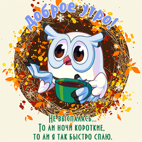 Забавная открытка «Доброе утро!» с совой, пьющей кофе. Милая картинка для тех, кто не выспался. Идеально для отправки в WhatsApp и соцсети. Анимированная открытка Доброе утро! Милая и забавная открытка на тему «Доброе утро» с изображением мультяшной совы в гнезде. Сова с сонным видом держит чашку горячего кофе, что идеально передает настроение ленивого утра. На картинке присутствует текст на русском языке: «Доброе утро!» вверху и шутливая подпись снизу: «Не выспалась... то ли ночи короткие, то ли я так быстро сплю» Забавная открытка «Доброе утро!» с совой, пьющей кофе. Милая картинка для тех, кто не выспался. Идеально для отправки в WhatsApp и соцсети. Анимированная открытка Доброе утро! Милая и забавная открытка на тему «Доброе утро» с изображением мультяшной совы в гнезде. Сова с сонным видом держит чашку горячего кофе, что идеально передает настроение ленивого утра. На картинке присутствует текст на русском языке: «Доброе утро!» вверху и шутливая подпись снизу: «Не выспалась... то ли ночи короткие, то ли я так быстро сплю»