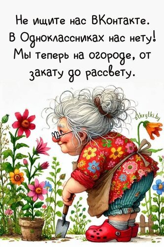 Юмористическая картинка с бабушкой в саду и надписью: Не ищите нас в соцсетях, мы на огороде!. Милая иллюстрация для дачного настроения и юмора. Открытка Не ищите нас вконтакте Забавная и милая иллюстрация в стиле цифровой живописи, изображающая пожилую женщину (бабушку) в яркой цветочной одежде, занимающуюся садоводством. Женщина в очках и с красным носом увлеченно работает в саду с помощью маленькой садовой лопатки. Вокруг нее пышные разноцветные цветы: розовые, красные и желтые. На изображении присутствует юмористическая надпись на русском языке: 